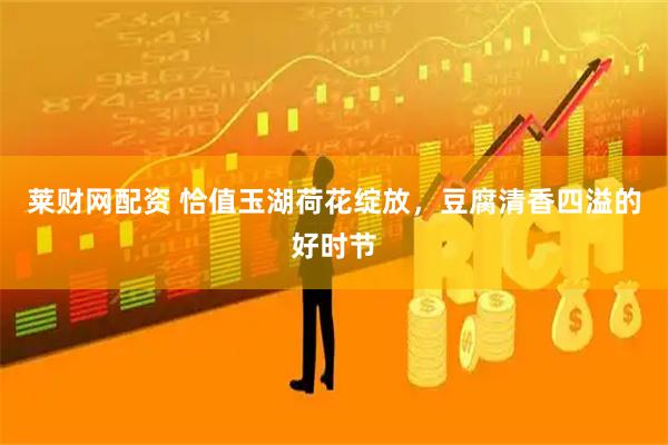 莱财网配资 恰值玉湖荷花绽放，豆腐清香四溢的好时节