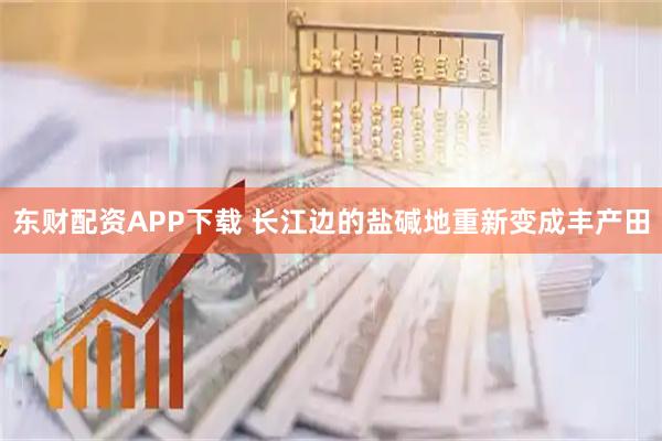 东财配资APP下载 长江边的盐碱地重新变成丰产田